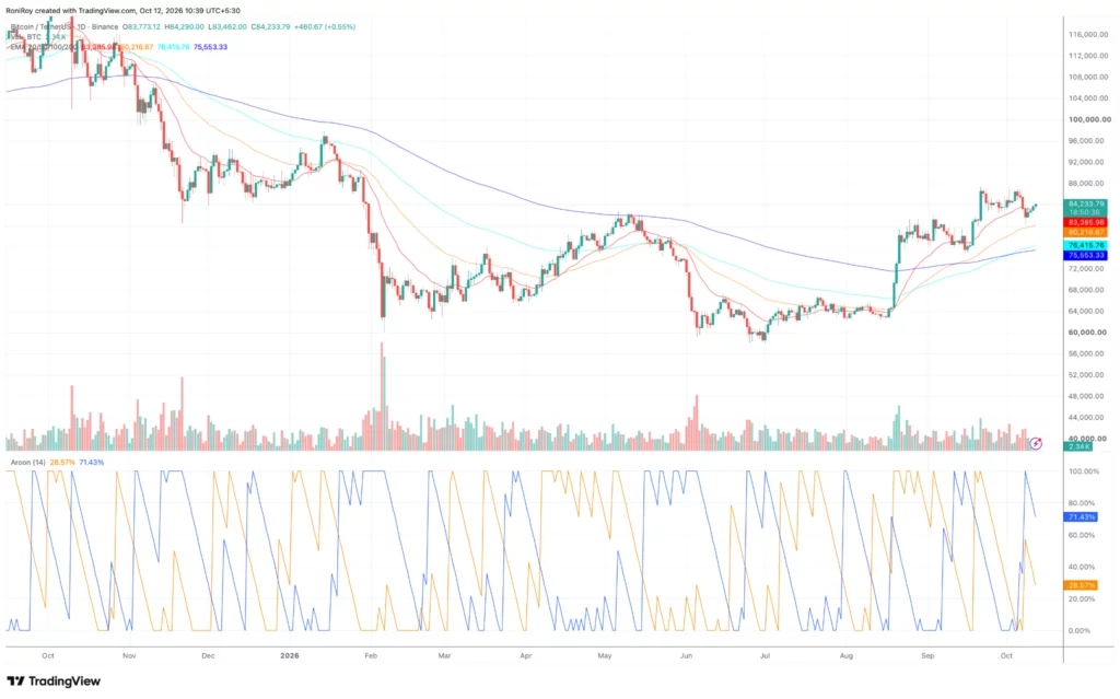 BTC/USDT 1日价格走势图。来源：crypto.news