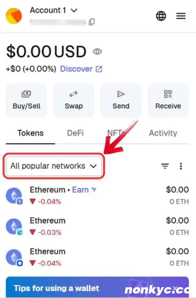Select-Network-in-MetaMask
